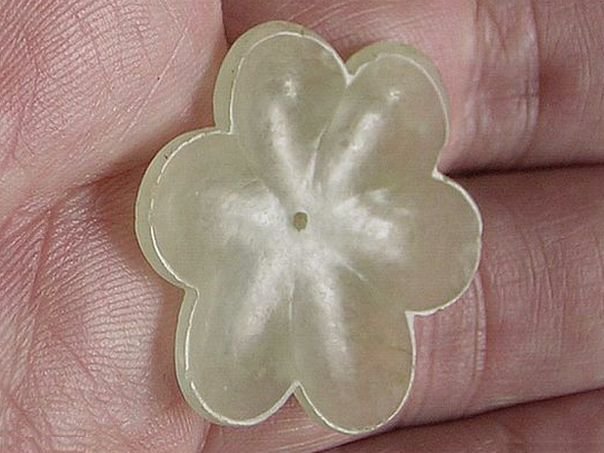 Flower 103 - (3229)